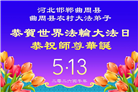 乡村大法弟子庆祝世界法轮大法日(236条)