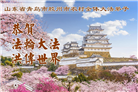 乡村大法弟子庆祝世界法轮大法日(236条)