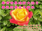 来自大陆乡村的诚挚祝福：恭贺世界法轮大法日(79条)