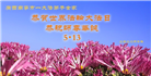 广东、广西、海南、湖南、江苏大法弟子庆祝世界法轮大法日(112条)