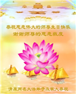 辽宁大法弟子庆祝世界法轮大法日(120条)