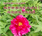 辽宁大法弟子庆祝世界法轮大法日(153条)