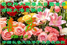 长春大法弟子庆祝世界法轮大法日(111条)