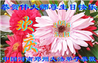 河南大法弟子庆祝世界法轮大法日(112条)