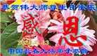 长春大法弟子庆祝世界法轮大法日(111条)