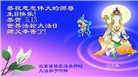 贵州、内蒙古、新疆、云南、青海、宁夏大法弟子庆祝世界法轮大法日(168条)