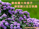 感恩师尊　西欧七国大法弟子庆贺世界法轮大法日