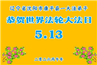 辽宁大法弟子庆祝世界法轮大法日(160条)