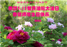 山东大法弟子庆祝世界法轮大法日(124条)