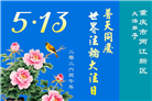重庆大法弟子庆祝世界法轮大法日(169条)