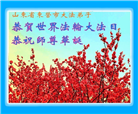 山东大法弟子庆祝世界法轮大法日(110条)