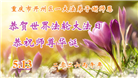 重庆大法弟子庆祝世界法轮大法日(169条)