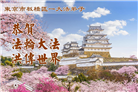 日本各地大法弟子庆贺世界法轮大法日