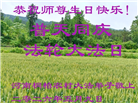 乡村大法弟子庆祝世界法轮大法日(81条)