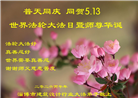 各行业大法弟子庆祝世界法轮大法日(112条)