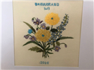大陆大法弟子庆祝世界法轮大法日(106条)