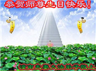 重庆大法弟子庆祝世界法轮大法日(169条)