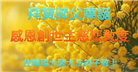 韩国各地大法弟子庆祝世界法轮大法日
