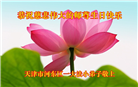 大法小弟子庆祝世界法轮大法日(77条)