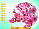 广东、广西、海南、湖南、江苏大法弟子庆祝世界法轮大法日(117条)
