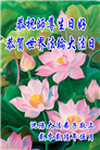 沈阳大法弟子庆祝世界法轮大法日(108条)