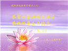 沈阳大法弟子庆祝世界法轮大法日(108条)