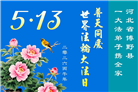 河北大法弟子庆祝世界法轮大法日(119条)