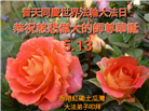 台湾、香港、澳门大法弟子庆祝世界法轮大法日