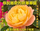 台湾、香港、澳门大法弟子庆祝世界法轮大法日