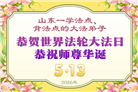 山东大法弟子庆祝世界法轮大法日(102条)