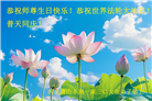 河北大法弟子庆祝世界法轮大法日(103条)