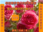 台湾、香港、澳门大法弟子庆祝世界法轮大法日