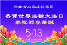 石家庄大法弟子庆祝世界法轮大法日(163条)
