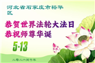 石家庄大法弟子庆祝世界法轮大法日(163条)