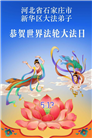 石家庄大法弟子庆祝世界法轮大法日(163条)