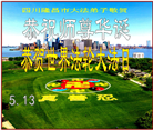 四川大法弟子庆祝世界法轮大法日(172条)