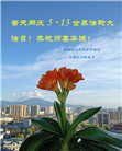 广东、广西、海南、湖南、江苏大法弟子庆祝世界法轮大法日(168条)