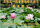 石家庄大法弟子庆祝世界法轮大法日(109条)