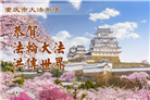 重庆大法弟子庆祝世界法轮大法日(55条)