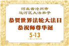 河北大法弟子庆祝世界法轮大法日(119条)