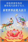 河北大法弟子庆祝世界法轮大法日(119条)