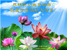 黑龙江大法弟子庆祝世界法轮大法日(107条)
