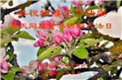 58国大法弟子同贺法轮大法日 敬谢师恩