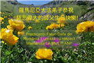 58国大法弟子同贺法轮大法日 敬谢师恩
