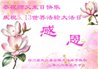 学法修心多救人　四川大法弟子敬贺世界法轮大法日(175条)