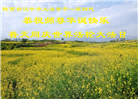 山西、陕西、甘肃大法弟子庆祝世界法轮大法日(137条)