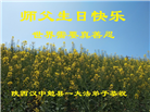 山西、陕西、甘肃大法弟子庆祝世界法轮大法日(137条)