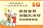 河北大法弟子庆祝世界法轮大法日(125条)