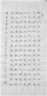 山东大法弟子庆祝世界法轮大法日(124条)
