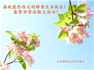 山东大法弟子庆祝世界法轮大法日(124条)